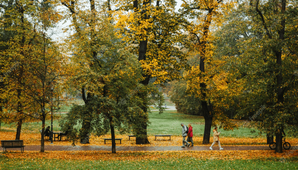 Letna Park