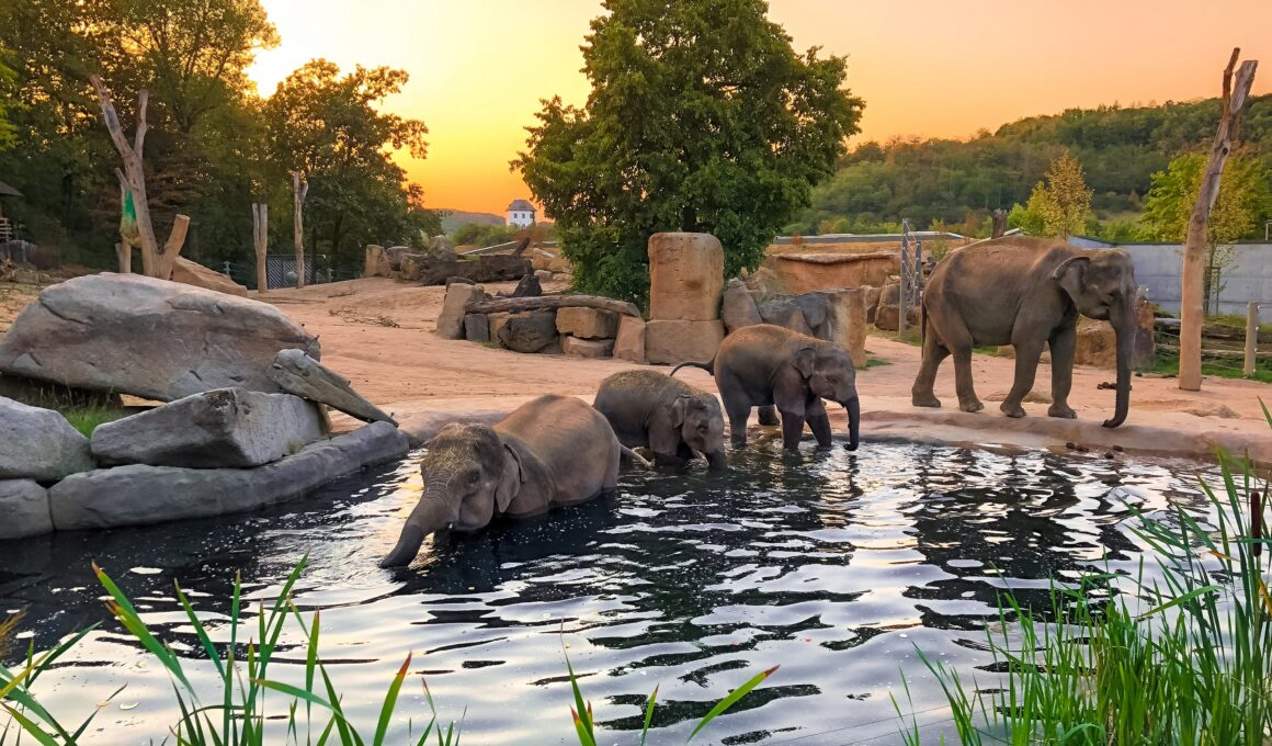 Prague Zoo, Czechia