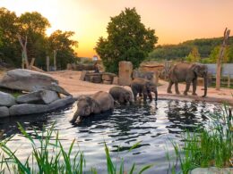 Prague Zoo, Czechia