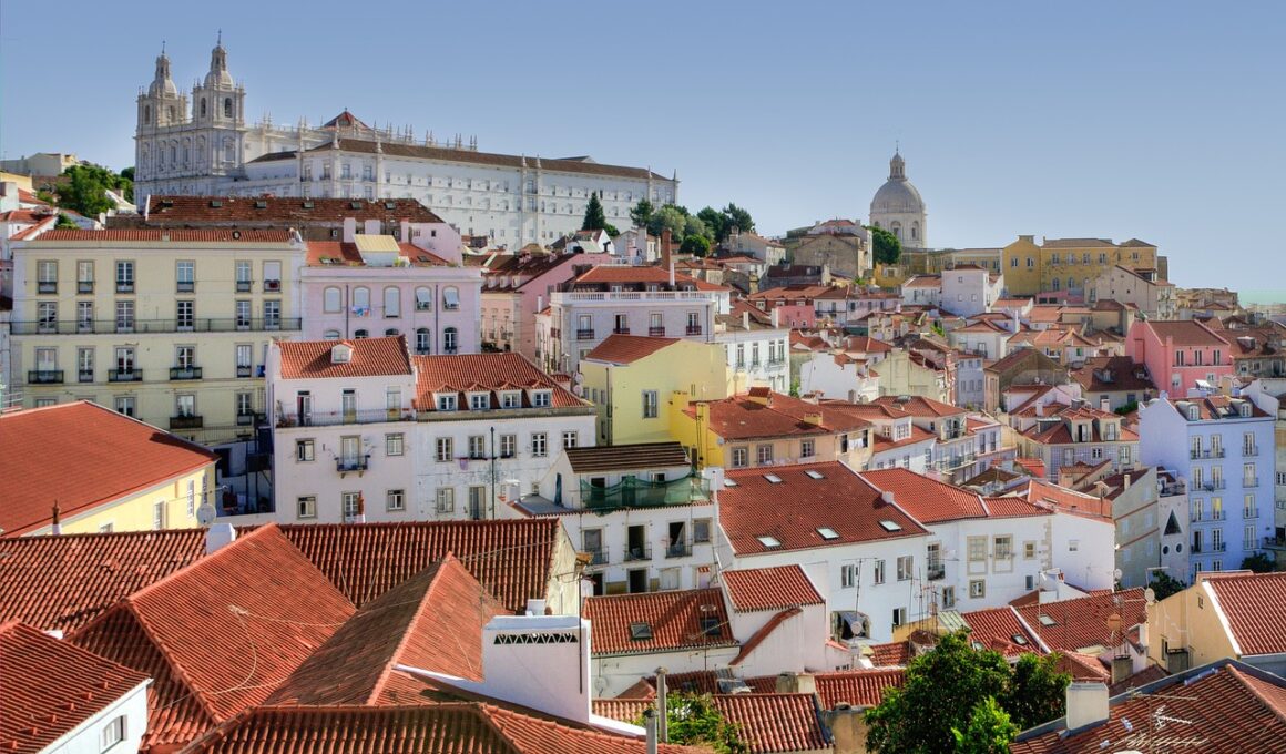 Lisbon view