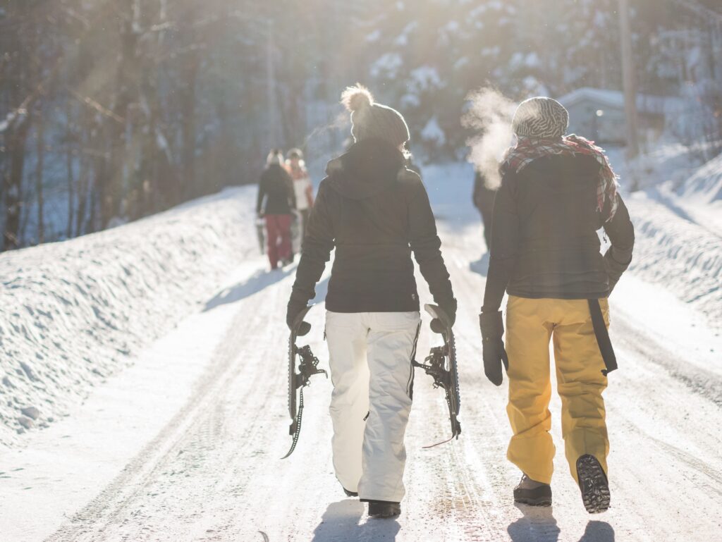 Ski in Czechia