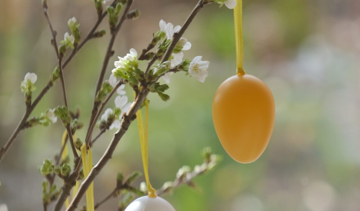 Eggs Easter